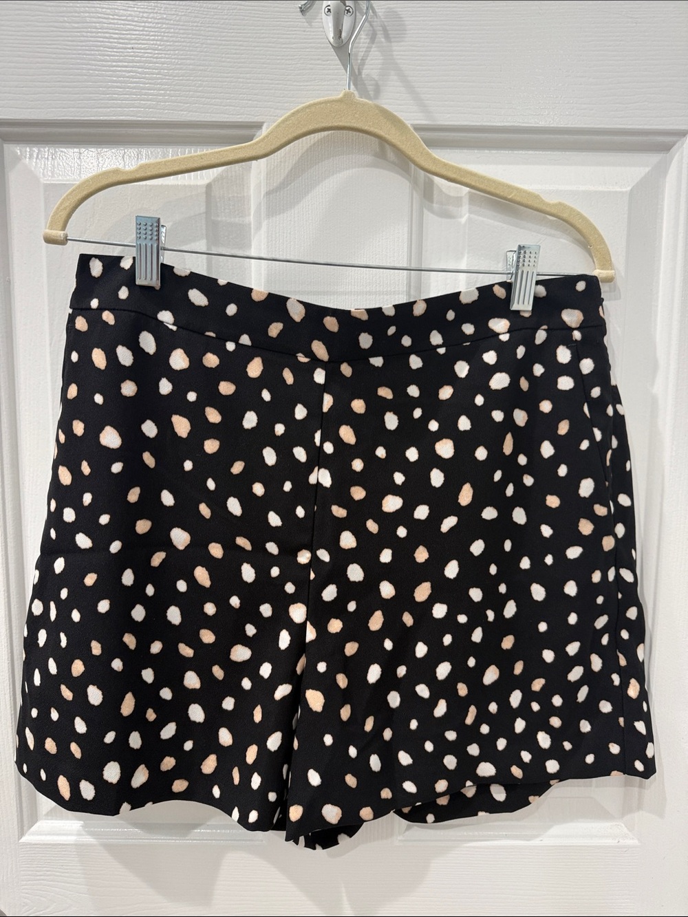Ann Taylor Black dressy shorts with Cream and Beige Spots